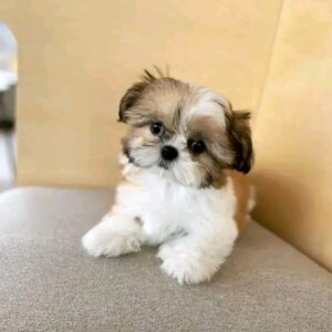Benny