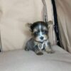 Danny - Image 2
