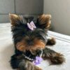 Nina - Image 3