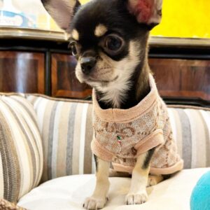Lola