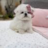 Peaches - Image 2