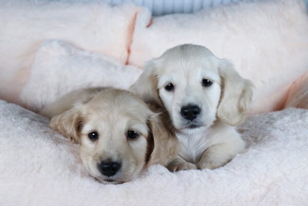 MIlly and Milan