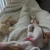 Betty - Image 2