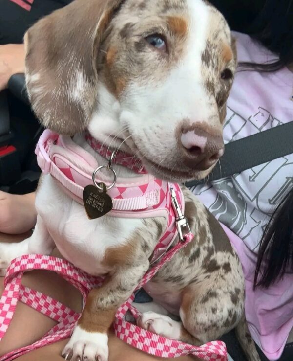 Betty