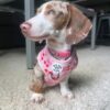 Betty - Image 3
