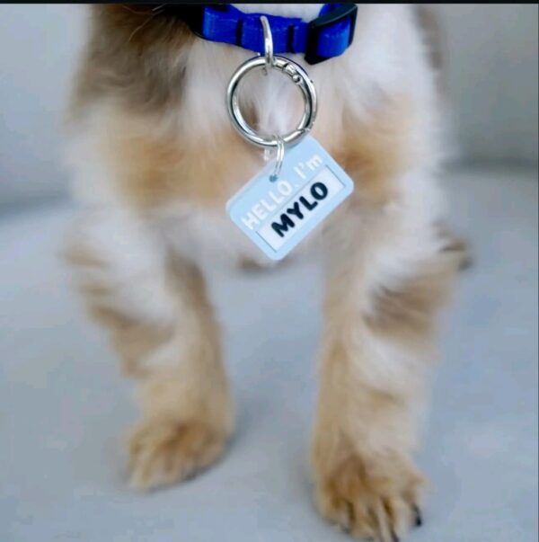 Mylo - Image 3