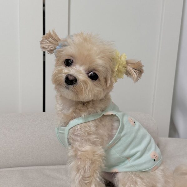 Lola - Image 2