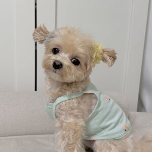 Lola