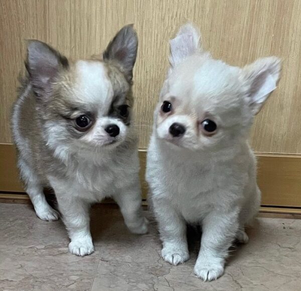 Peaches And Jaden - Image 3