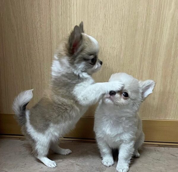 Peaches And Jaden - Image 2