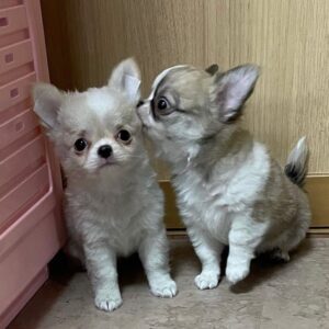 Peaches And Jaden