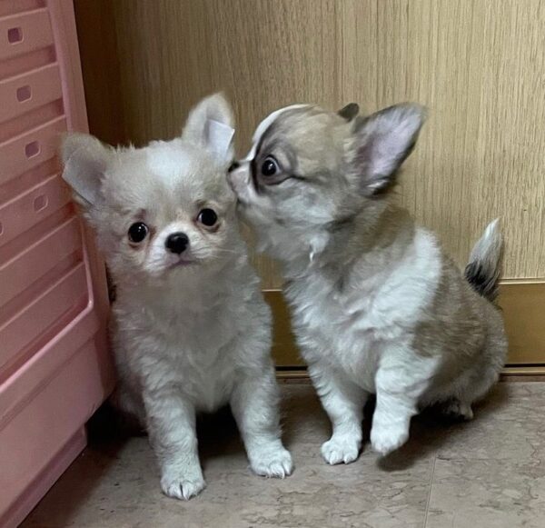 Peaches And Jaden